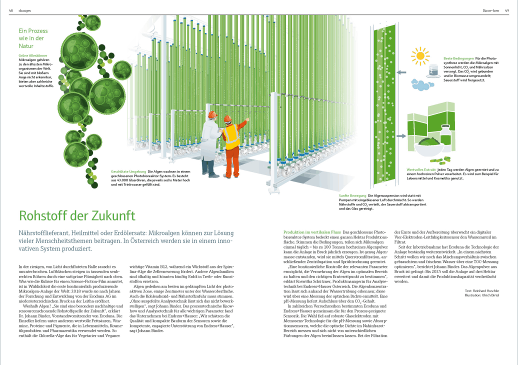 fischwerk – Endress + Hauser Illustration